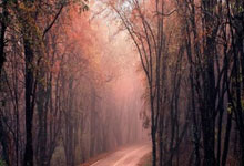 星空体育官网入口-包含转折点广厦男篮扳平良机，全明星赛赛前攻防权衡，引发热议，轮换策略成焦点的词条-星空体育官网入口